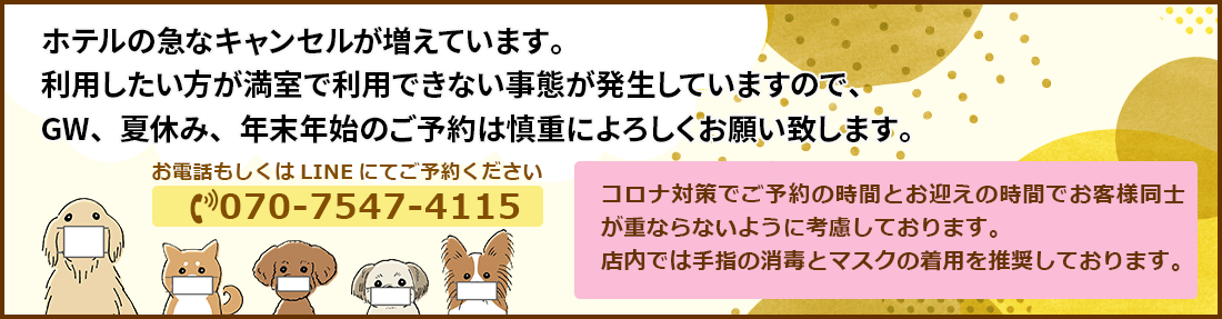 ホテルのご予約はお電話もしくはLINEにてお070-7547-41154-7711